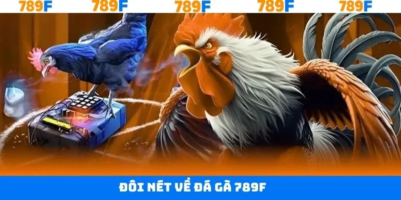 Khái quát về trường đá gà trực tuyến 789F Khái quát về trường đá gà trực tuyến 789F