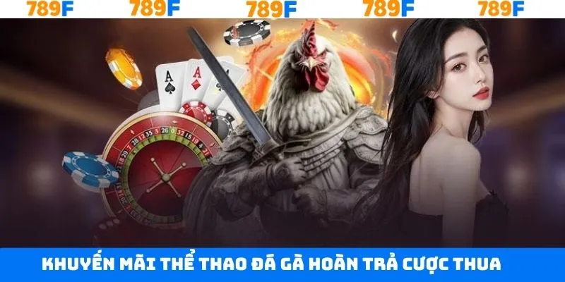 Thưởng thể thao đá gà hoàn cược thua lên tới 100% Thưởng thể thao đá gà hoàn cược thua lên tới 100%
