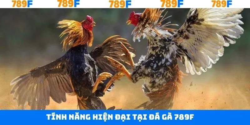 Công nghệ live chọi kê hiện đại Công nghệ live chọi kê hiện đại